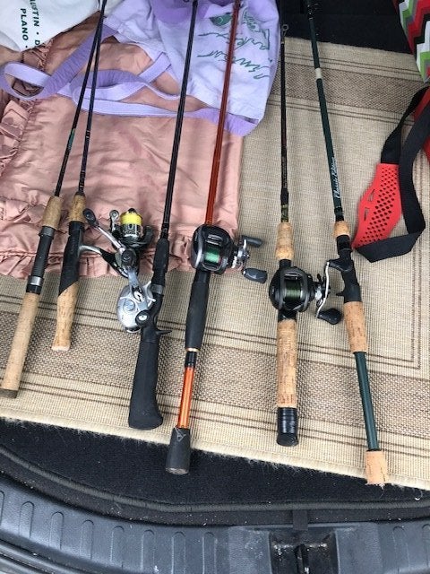 One lot of rods and reels for sale