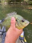 Water Bait Fisherman Lake Fish